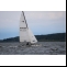 Katamaran Hobie 16 Bild 1 